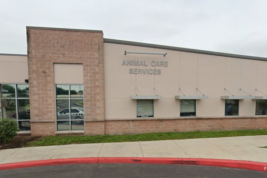 San Antonio Animal Care Services Offers Fee-Waived Pet Adoptions Through June 8