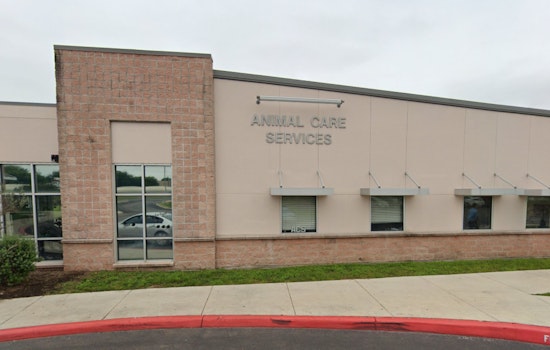 San Antonio Animal Care Services Offers Fee-Waived Pet Adoptions Through June 8