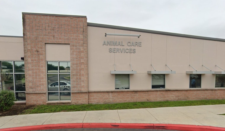 San Antonio Animal Care Services Offers Fee-Waived Pet Adoptions Through June 8