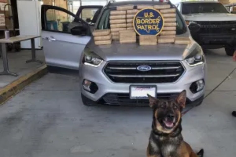 San Diego Border Patrol Seizes 104 Pounds of Cocaine Worth $708,000 on Interstate 15