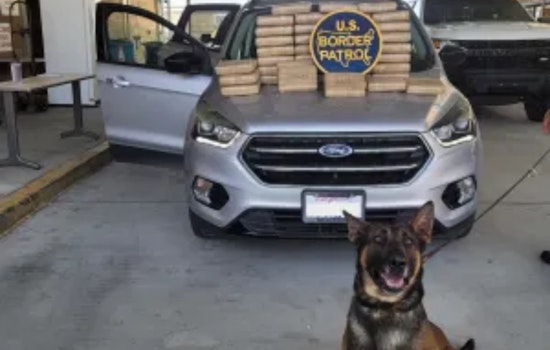 San Diego Border Patrol Seizes 104 Pounds of Cocaine Worth $708,000 on Interstate 15