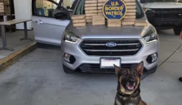 San Diego Border Patrol Seizes 104 Pounds of Cocaine Worth $708,000 on Interstate 15