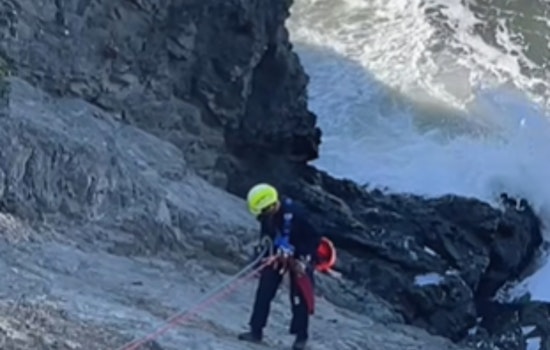 San Francisco Firefighters Heroically Rescue Two Juveniles Stranded on Cliff Near China Beach