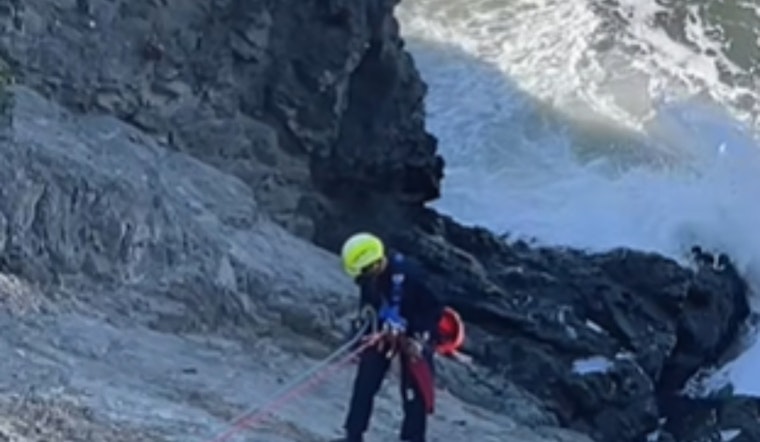 San Francisco Firefighters Heroically Rescue Two Juveniles Stranded on Cliff Near China Beach