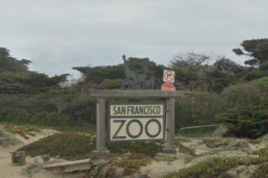 San Francisco Zoo CEO Peterson Resolute Amid Calls for Resignation and Funding Freeze