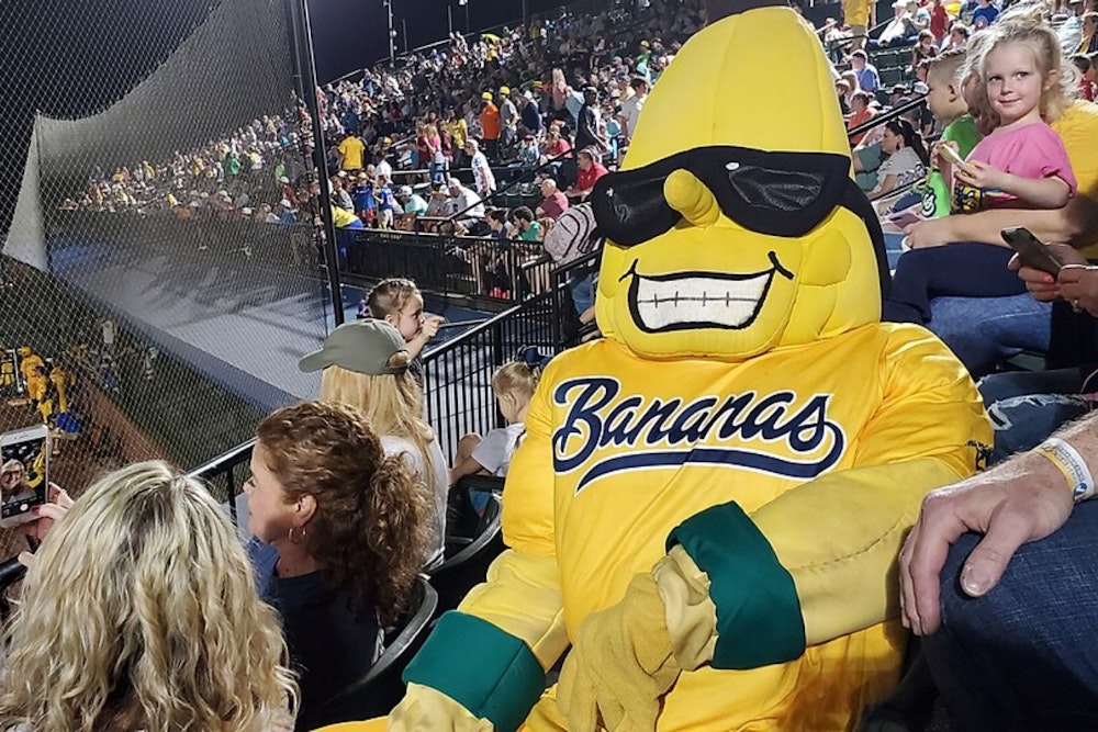 Savannah Bananas Electrify Cincinnati With 'Banana Ball' Spectacle at Great American Ball Park
