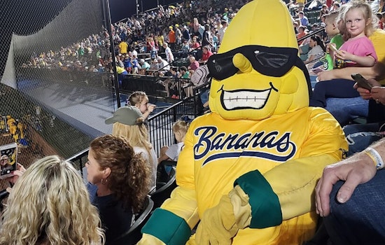 Savannah Bananas Electrify Cincinnati With 'Banana Ball' Spectacle at Great American Ball Park