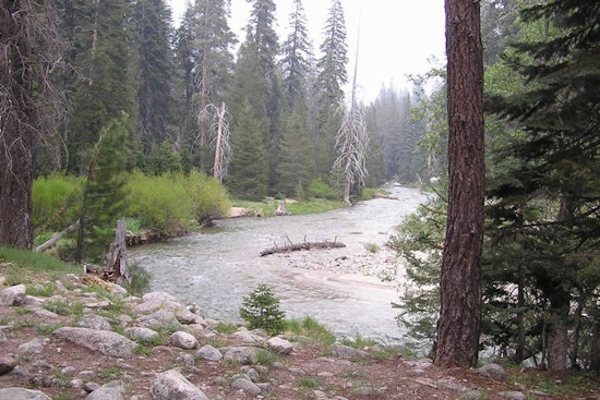 Search for LA Woman Jomarie Calasanz Scaled Back at Sequoia National Park Following River Tragedy