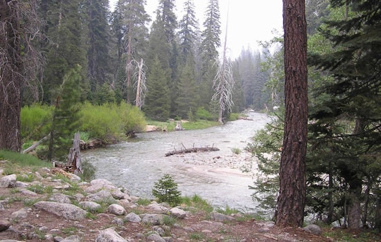 Search for LA Woman Jomarie Calasanz Scaled Back at Sequoia National Park Following River Tragedy