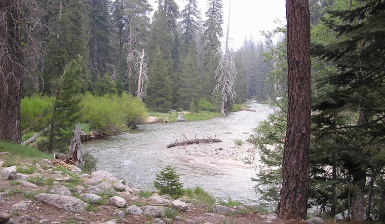 Search for LA Woman Jomarie Calasanz Scaled Back at Sequoia National Park Following River Tragedy