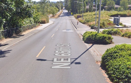 Seattle Police Investigate Puzzling Shooting Incident in Sand Point, Victim's Account Contradicted by Evidence