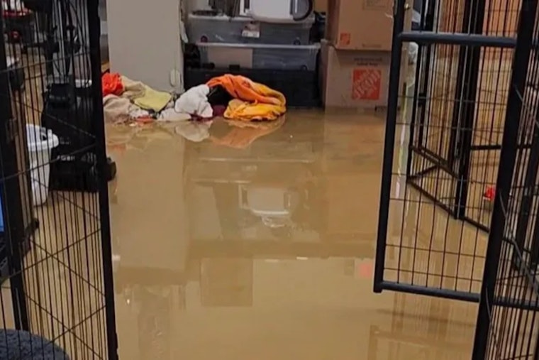 Severe Storms Leave Clinton Township Animal Shelter Struggling for Survival Amid Flood Damage