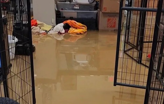 Severe Storms Leave Clinton Township Animal Shelter Struggling for Survival Amid Flood Damage