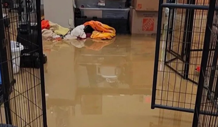 Severe Storms Leave Clinton Township Animal Shelter Struggling for Survival Amid Flood Damage
