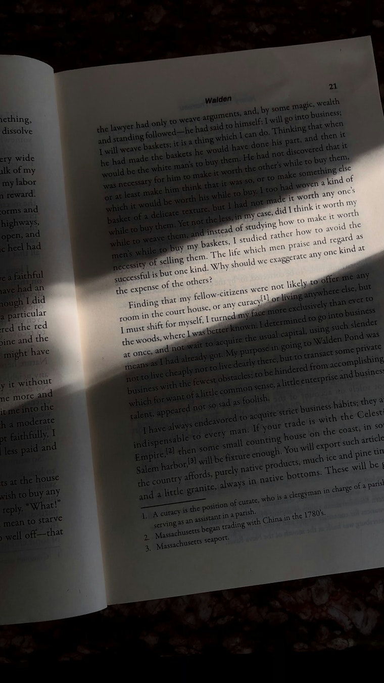 SF AI Firm Claims Fair Use Victory, But Piracy Trial Still Looms