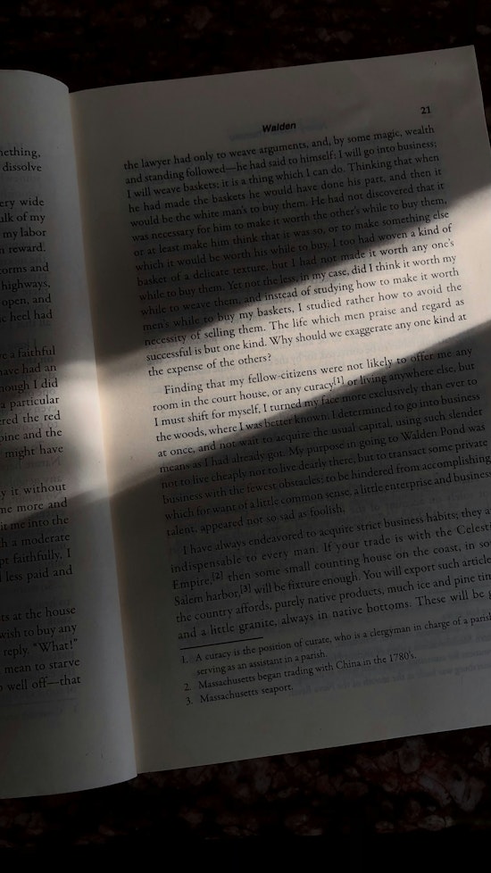 SF AI Firm Claims Fair Use Victory, But Piracy Trial Still Looms