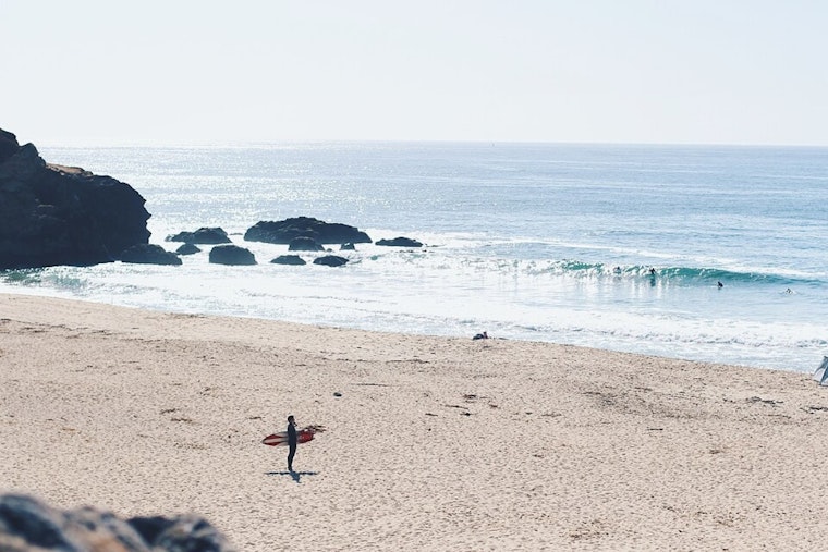 Shark Bites Surfer's Board at Montara State Beach Prompting Temporary Closure