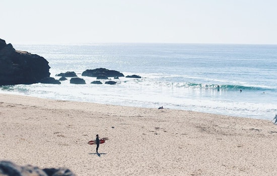 Shark Bites Surfer's Board at Montara State Beach Prompting Temporary Closure