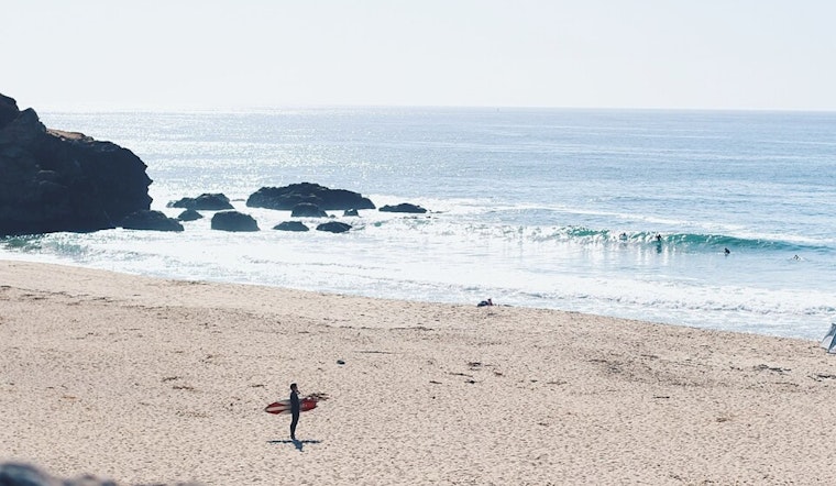 Shark Bites Surfer's Board at Montara State Beach Prompting Temporary Closure