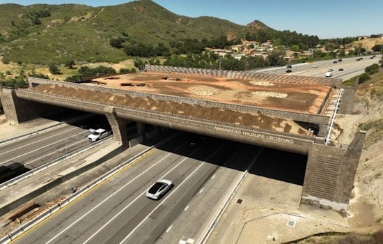 Southern California's Wallis Annenberg Wildlife Crossing Nears Completion, A Leap Forward in Urban Conservation