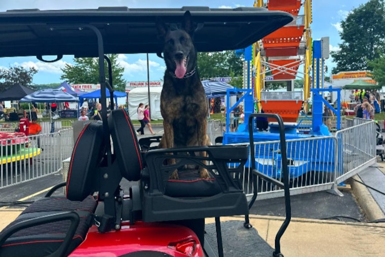 Springfield's Rock the Docks Festival Faces Parking Challenges, Police Direct to Alternative Lots