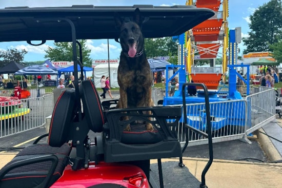 Springfield's Rock the Docks Festival Faces Parking Challenges, Police Direct to Alternative Lots