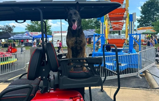 Springfield's Rock the Docks Festival Faces Parking Challenges, Police Direct to Alternative Lots