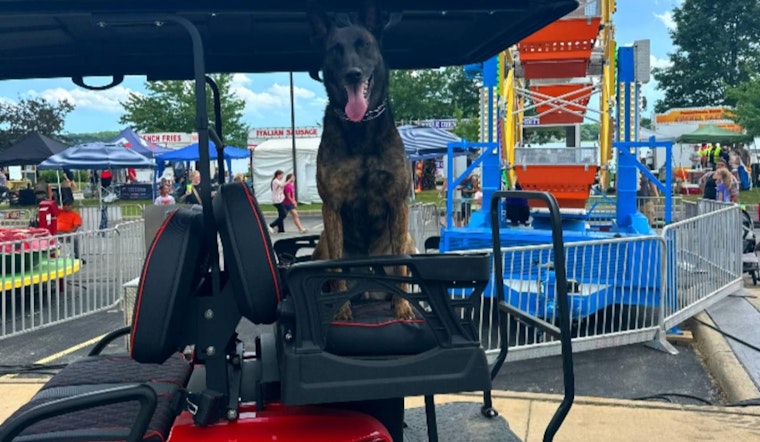 Springfield's Rock the Docks Festival Faces Parking Challenges, Police Direct to Alternative Lots