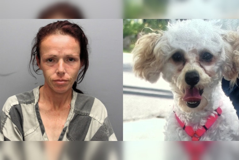 St. Bernard Sheriff Seeks Help to Find Woman Suspected of Stealing Car with Dog Inside in New Orleans