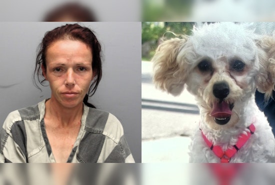 St. Bernard Sheriff Seeks Help to Find Woman Suspected of Stealing Car with Dog Inside in New Orleans