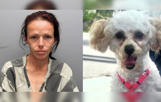 St. Bernard Sheriff Seeks Help to Find Woman Suspected of Stealing Car with Dog Inside in New Orleans