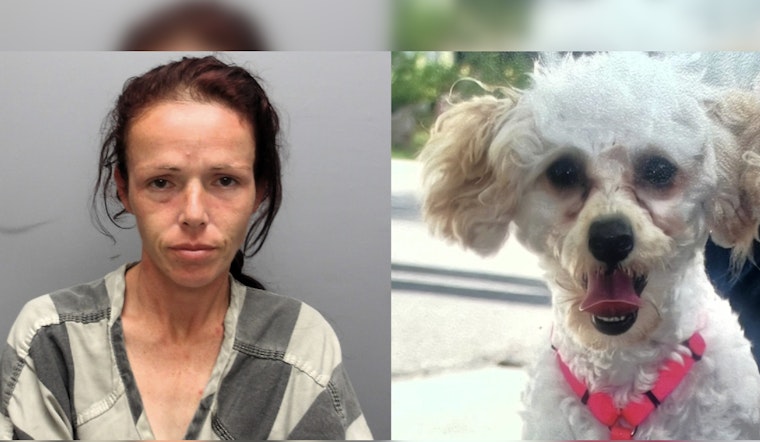St. Bernard Sheriff Seeks Help to Find Woman Suspected of Stealing Car with Dog Inside in New Orleans