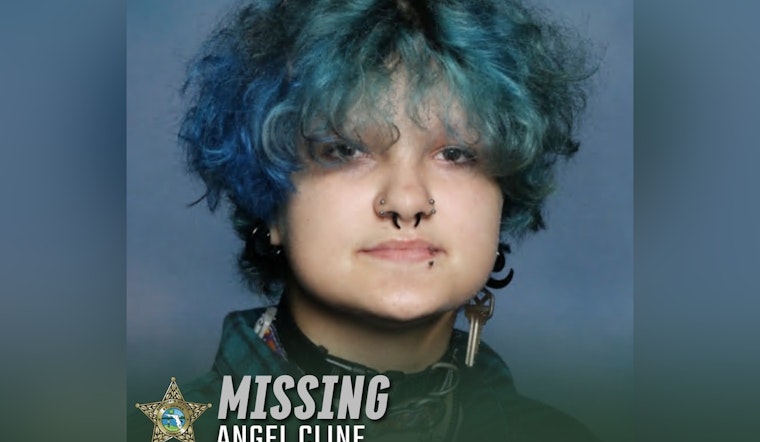 St. Johns County Community Rallies in Search for Missing Angel Cline, Sheriff's Office Seeks Public's Help