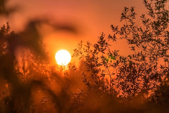 St. Louis and Nearby Illinois Residents on Alert as Extreme Heat Watch Takes Effect This Weekend