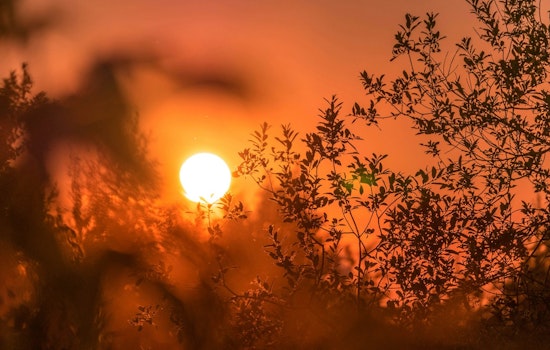 St. Louis and Nearby Illinois Residents on Alert as Extreme Heat Watch Takes Effect This Weekend