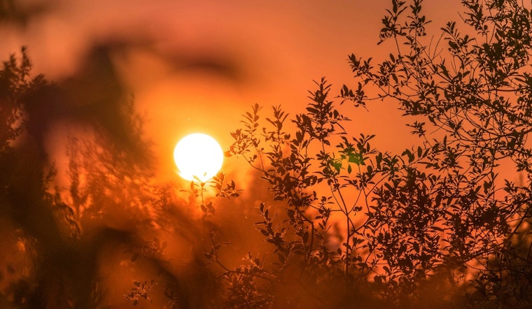 St. Louis and Nearby Illinois Residents on Alert as Extreme Heat Watch Takes Effect This Weekend
