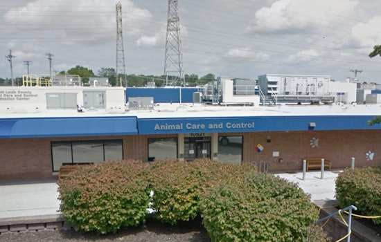 St. Louis County Animal Shelter Seeks Aid After Influx of 40 Rescued Animals, Still Recovering from Parvovirus Crisis