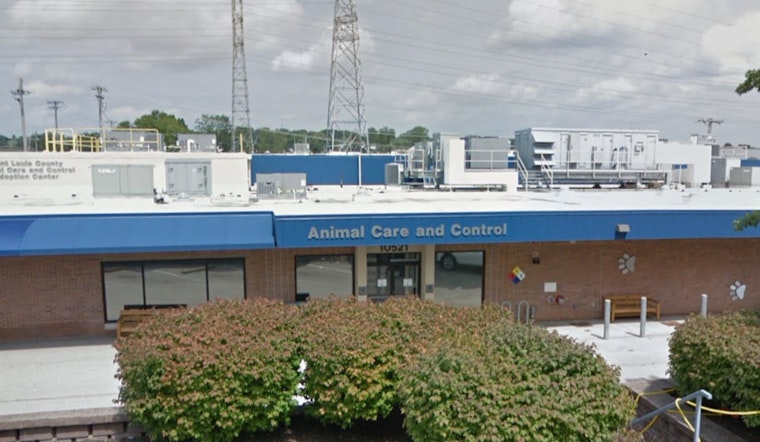 St. Louis County Animal Shelter Seeks Aid After Influx of 40 Rescued Animals, Still Recovering from Parvovirus Crisis