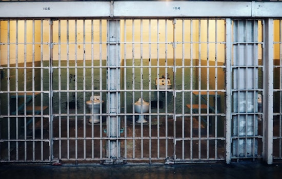 St. Louis Man Receives Triple Life Sentences Plus 35 Years for 2023 Gravois Park Drive-By Murder and Assault