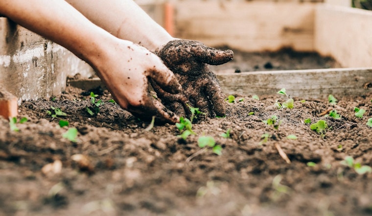 St. Louis Park Hosts Rain Garden Maintenance Workshop for Eco-conscious Gardeners