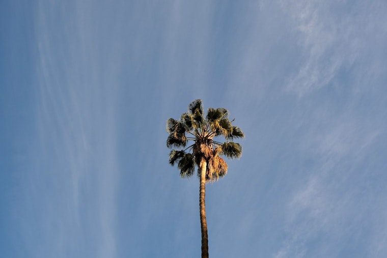 Steady Weather Ahead, Los Angeles to Enjoy Consistent Low 80s and Nightly Fog