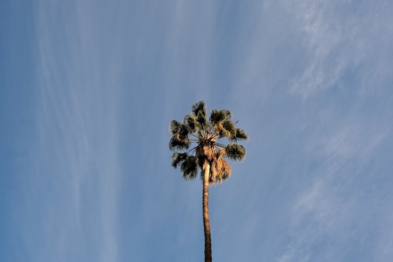 Steady Weather Ahead, Los Angeles to Enjoy Consistent Low 80s and Nightly Fog
