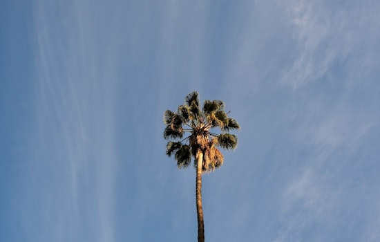 Steady Weather Ahead, Los Angeles to Enjoy Consistent Low 80s and Nightly Fog