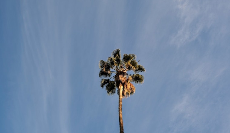 Steady Weather Ahead, Los Angeles to Enjoy Consistent Low 80s and Nightly Fog