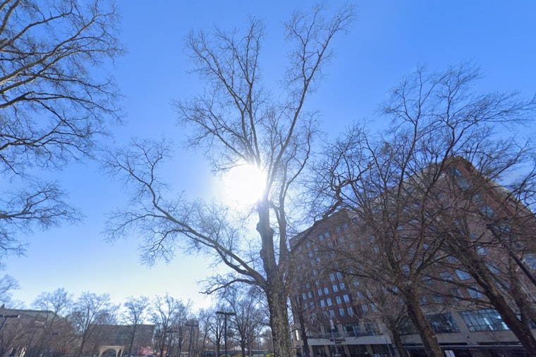 Sunny Days Ahead for Raleigh, with a Shift to Showers and Thunderstorms by Week's End