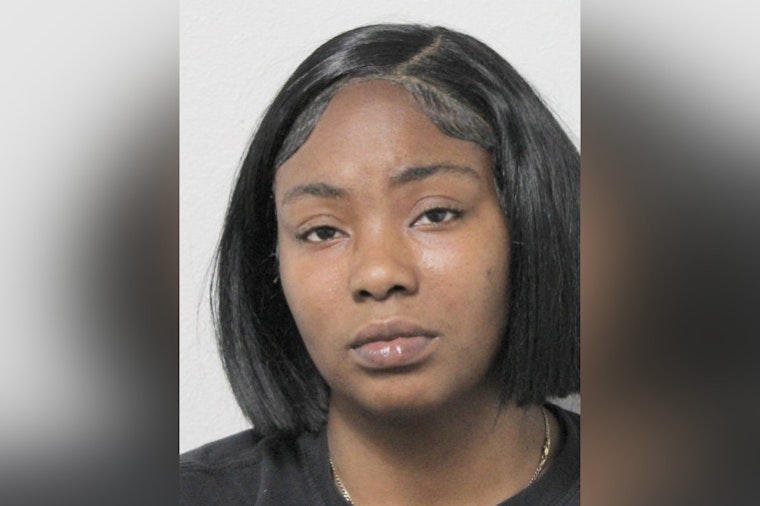 Suspect Arrested and Charged in Connection With 2020 Grisby Road Fatal Shooting in Houston