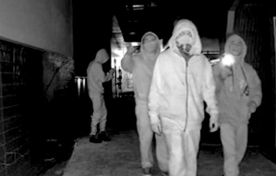 Suspected Vandals on the Loose After Damaging Washington Terrace School Under Construction, $500 Reward Offered