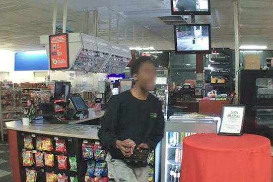Swift Arrest by Minneapolis Police Thwarts Gas Station Burglary on Franklin Avenue