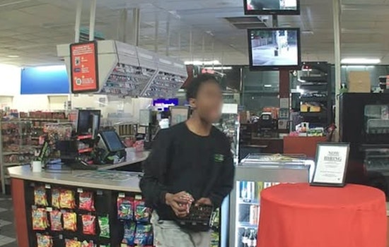Swift Arrest by Minneapolis Police Thwarts Gas Station Burglary on Franklin Avenue