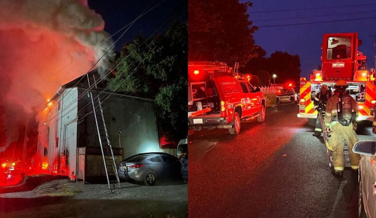 Tacoma Apartment Blaze Injures Two and Displaces Ten, Firefighters Rescue Two Cats